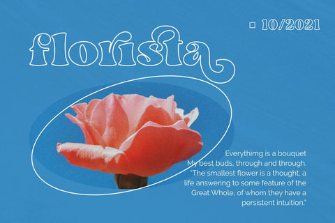 Dream to Berich Font Zeenesia Std 