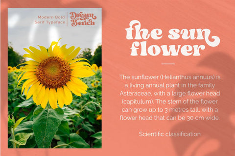 Dream to Berich Font Zeenesia Std 