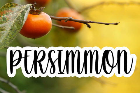 Dreamstar Font Abo Daniel Studio 