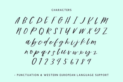Dreamwild Script Font Beck McCormick 
