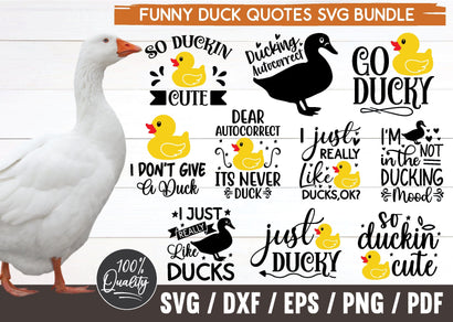 Duck Svg, Rubber Duck Svg, Duck Png, Duck Hunting Svg, Duck Prints, Duck Cut File, Rubber Duck Png, Duck Print, Animal Svg SVG designstore 