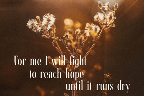 East Gravton Typeface Font Storytype Studio 