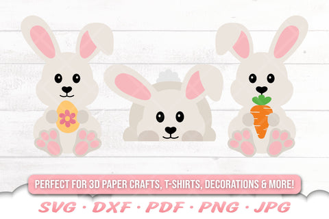 Easter Bunny SVG | Easter SVG Bundle | Easter Cut Files | Easter Shirt SVG Cloud9Design 