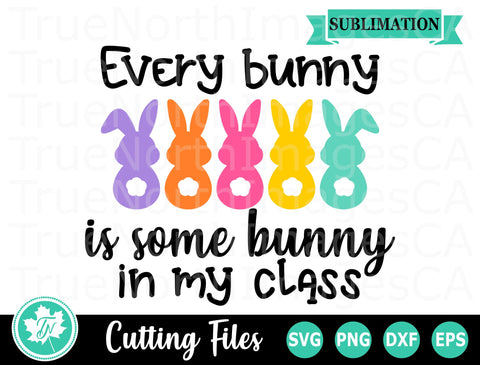 Easter SVG | Teacher SVG | Every Bunny is Some Bunny SVG TrueNorthImagesCA 