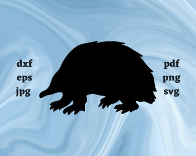 Echidna SVG Cut File SVG Northern Light SVG 