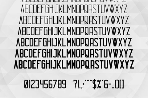 Echo 14 Font Family + Bonus Font VPcreativeshop