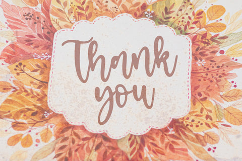 Eclipse Cinema Beautiful Modern Handwritten Font Font Letterative 