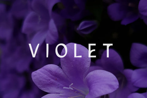 Ecrosh A Modern Sans Serif Font Font Balevgraph Studio 