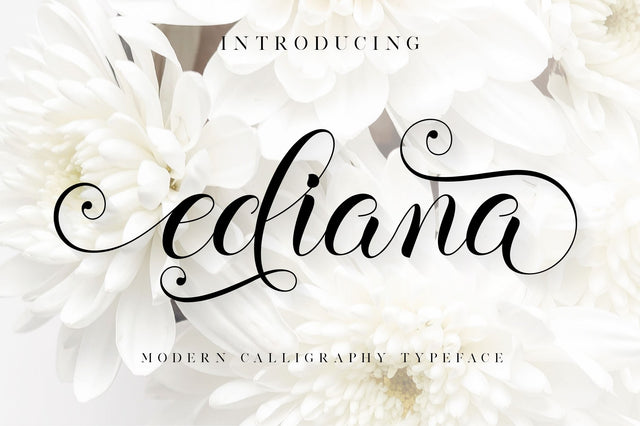 ediana script Font Anastasia 