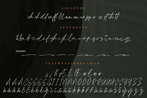 Edward Signature Script Font Creatype Studio 
