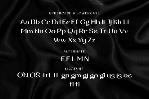 Egovu - Display Font Font twinletter 