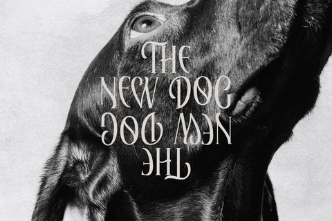 ELAPHORAS Typeface Font Storytype Studio 