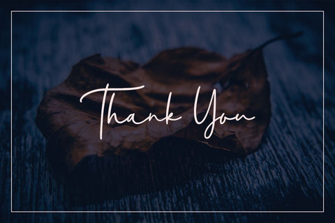 Eleanor Handwritten Script Font Creatype Studio 