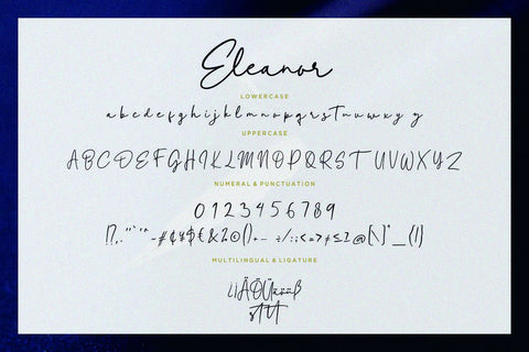 Eleanor Handwritten Script Font Creatype Studio 
