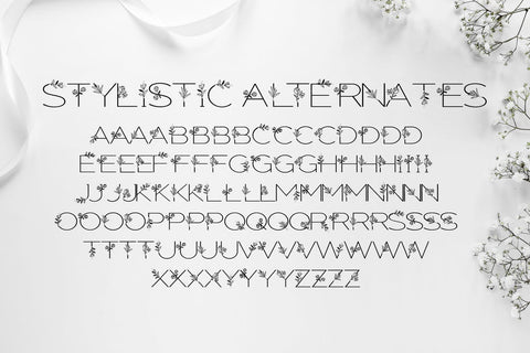 Elegant Font Freeling Design House 