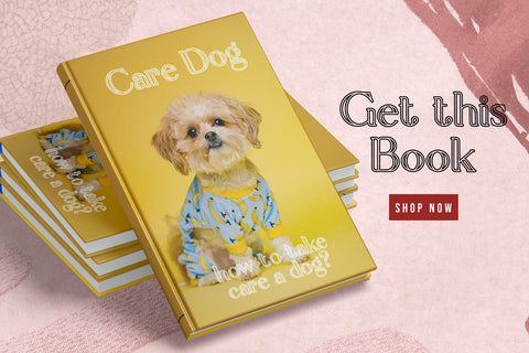 Elegante - Decorative Serif Font Font StringLabs 