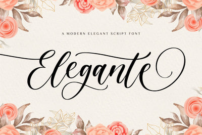 Elegante Modern Elegant Font Font Balpirick 