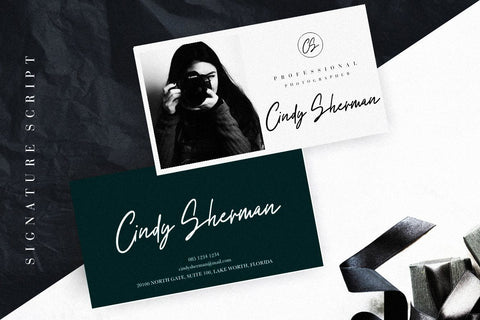 Elements Signature Script Font Creatype Studio 