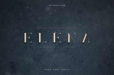 Elena Luxe Serif font Font VPcreativeshop