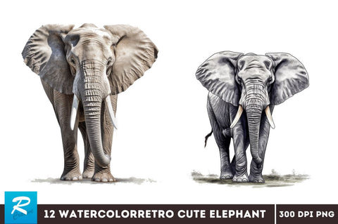 Elephant Clipart Bundle Sublimation Regulrcrative 