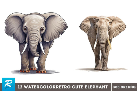 Elephant Clipart Bundle Sublimation Regulrcrative 