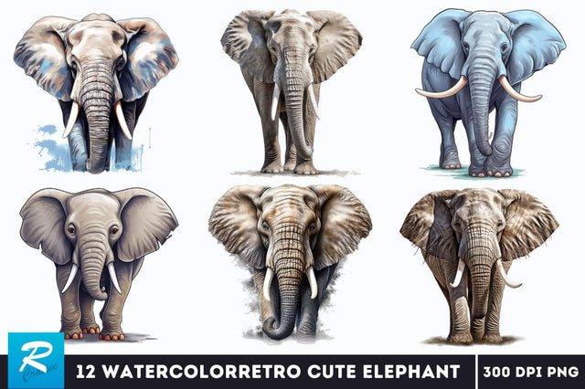 Elephant Clipart Bundle Sublimation Regulrcrative 