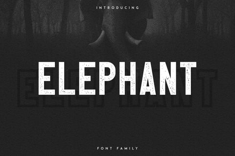 Elephant Font Family Font VPcreativeshop 