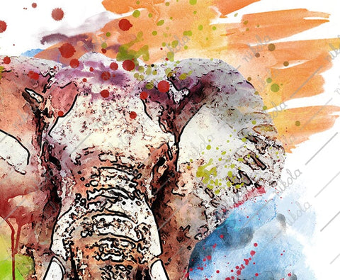 Elephant Watercolor Sublimation Clipart PNG JPG Sublimation nikola 