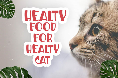 Elephant Wild Font nearzz 