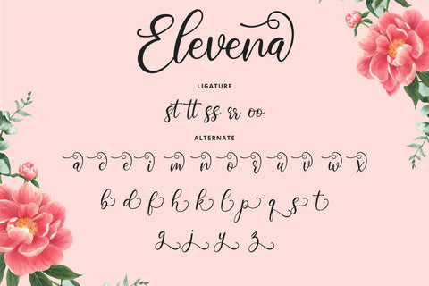 Elevena Font Fallen Graphic Studio 