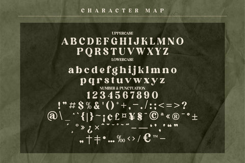 Elinga Typeface Font Storytype Studio 