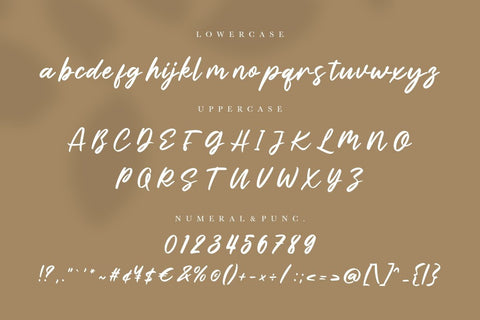 Elisabeth Brush Script Font Creatype Studio 