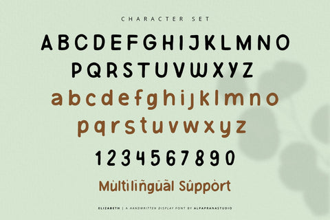 Elizabeth - Handwritten Font Font Alpaprana Studio 