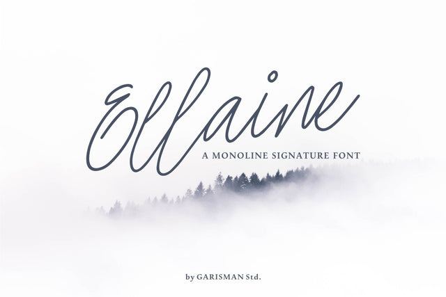 Ellaine Monoline Signature Font Font Garisman Studio 