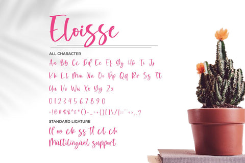 Eloisse-Elegant Handwritten Font Font yumnatype 
