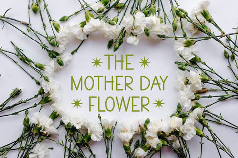 Eloka Sans - Cute Display Sans Serif Font Font Masyafi Studio 