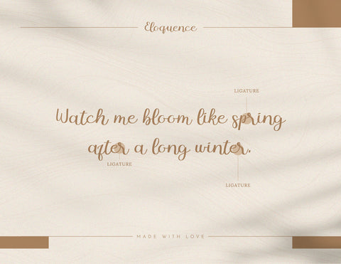 Eloquence Handwritten Script Font Font inferno.studio3 