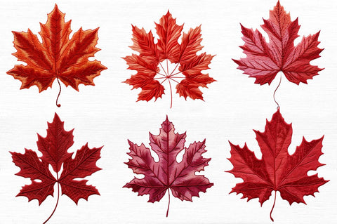 Embroidery Maple Leaf Clipart Bundle Sublimation Regulrcrative 