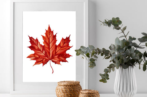 Embroidery Maple Leaf Clipart Bundle Sublimation Regulrcrative 