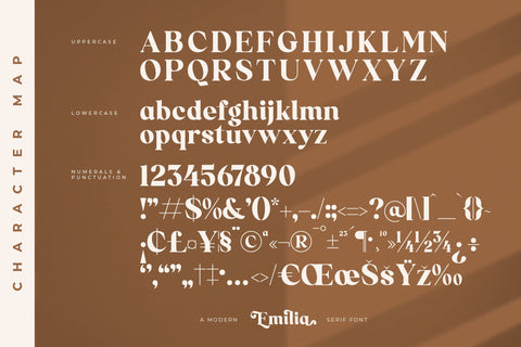 Emilia Typeface Font Storytype Studio 