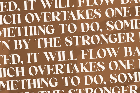 Emilia Typeface Font Storytype Studio 