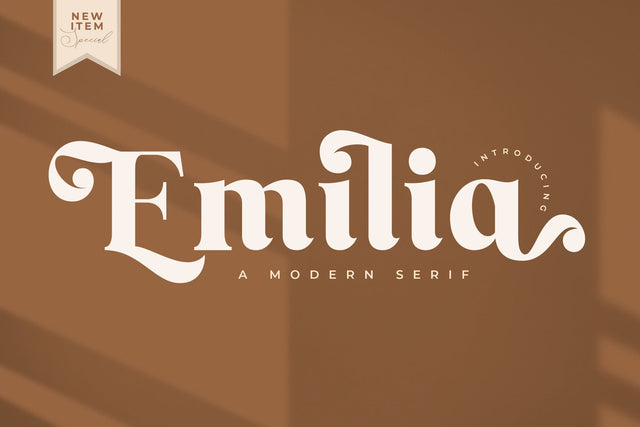 Emilia Typeface Font Storytype Studio 