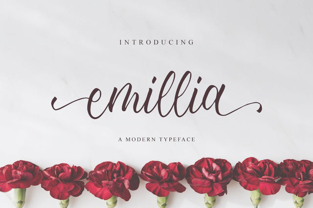 Emillia Script Font Anastasia 