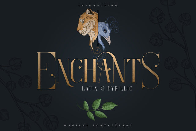 Enchants - Magical font + Extras Font VPcreativeshop 
