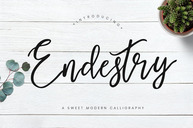 Endestry Modern Calligraphy Font Creatype Studio 