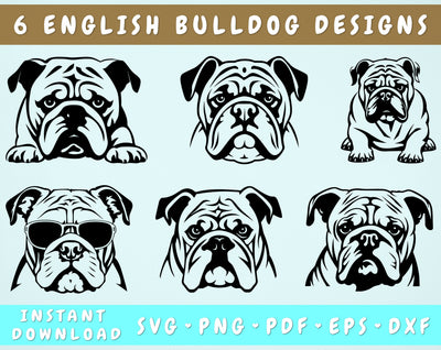 English Bulldog SVG Bundle, 6 Designs, English Bulldog PNG, English Bulldog Clipart, British Bulldog SVG SVG HappyDesignStudio 