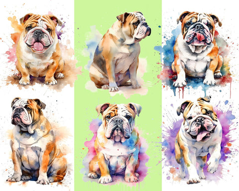 English Bulldog Watercolor JPG PNG Sublimation nikola 
