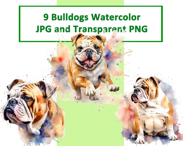 English Bulldog Watercolor JPG PNG Sublimation nikola 