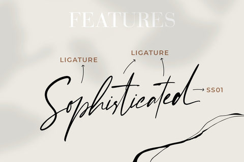 Enternity Signature Script Font Creatype Studio 