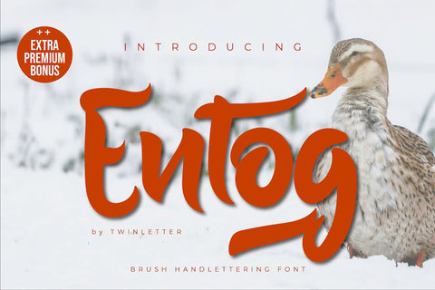 Entog Font twinletter 